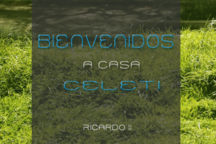Celeti: A Creative Display Font