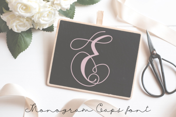 Monogram Swans: A Designer’s Real-World Review
