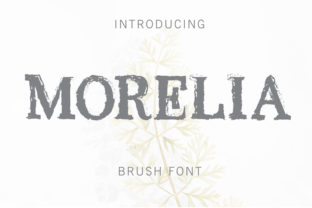Morelia: A Fun Display Font for Creative Campaigns