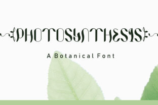 Photosynthesis: A Bold Display Font